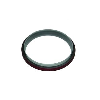 3006737 (855, N14) - Rear Oil Seal