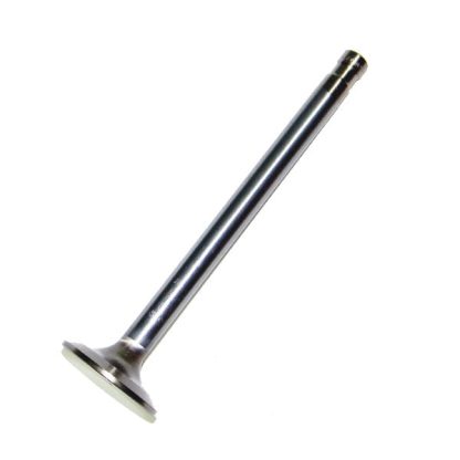 Valve Exhaust For Cat 3116 Engine