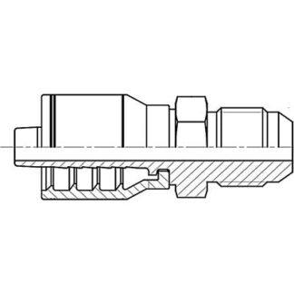 0606 JIC MALE